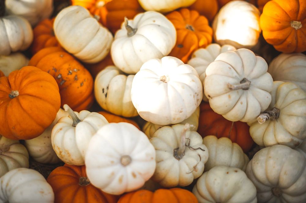 Halloween Lights Tour